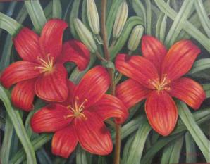 Lilies